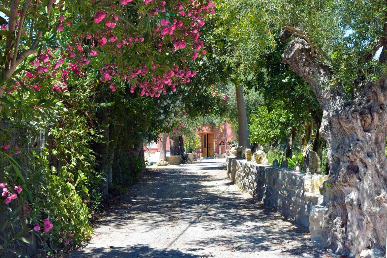 Avocado Villas Chania (Crete) Exterior photo